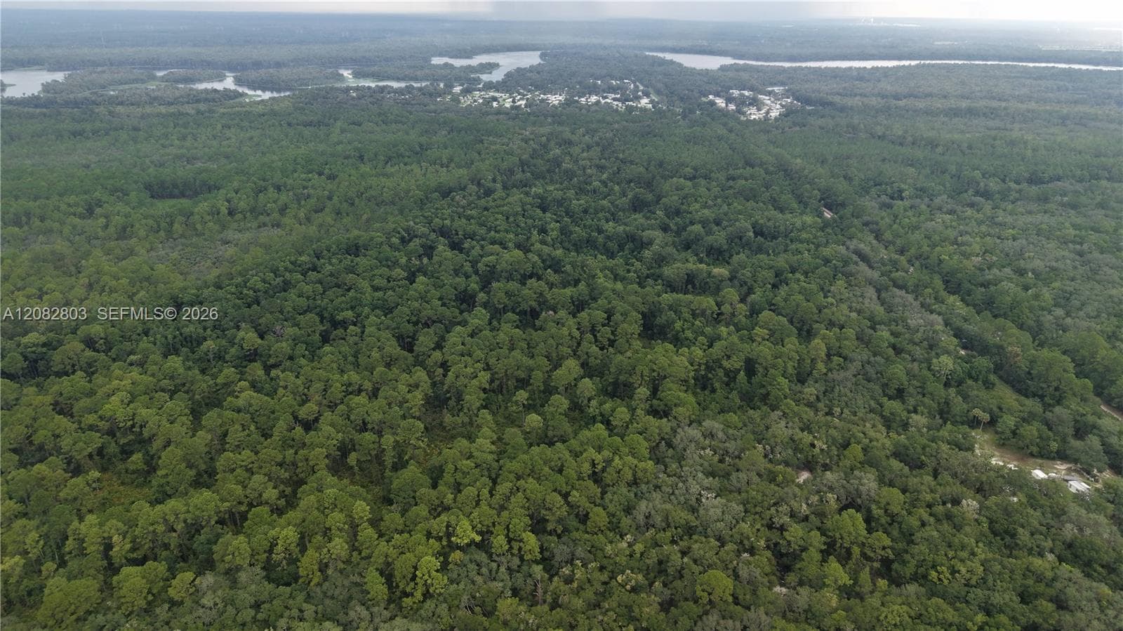 162 Carriage Pl, Other City - In The State Of Florida FL 32189