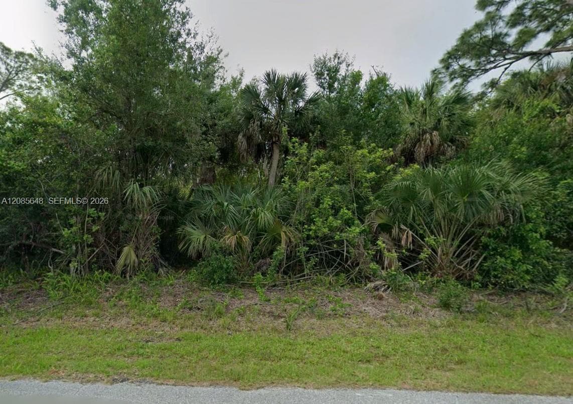 23343 Buckner Ave, Port Charlotte FL 33980