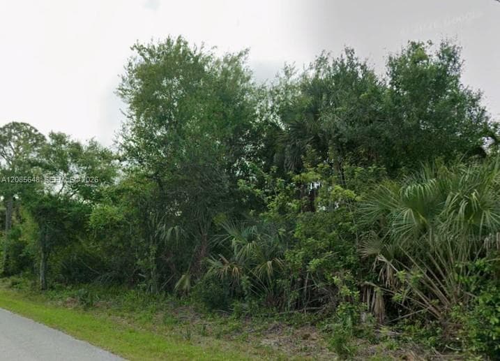 23343 Buckner Ave, Port Charlotte FL 33980