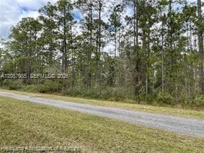 222 Oleander Drive, Lake Wales FL 33898