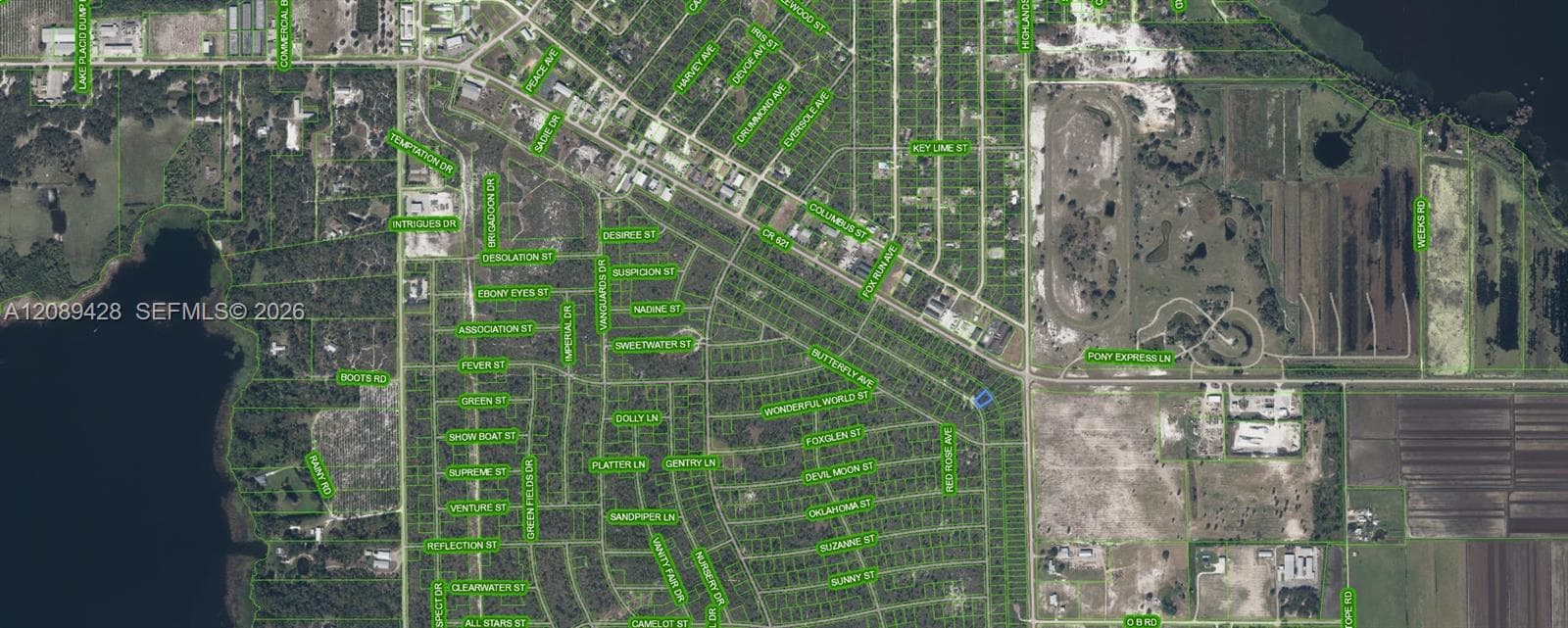 305 Dolly Lane, Lake Placid FL 33852
