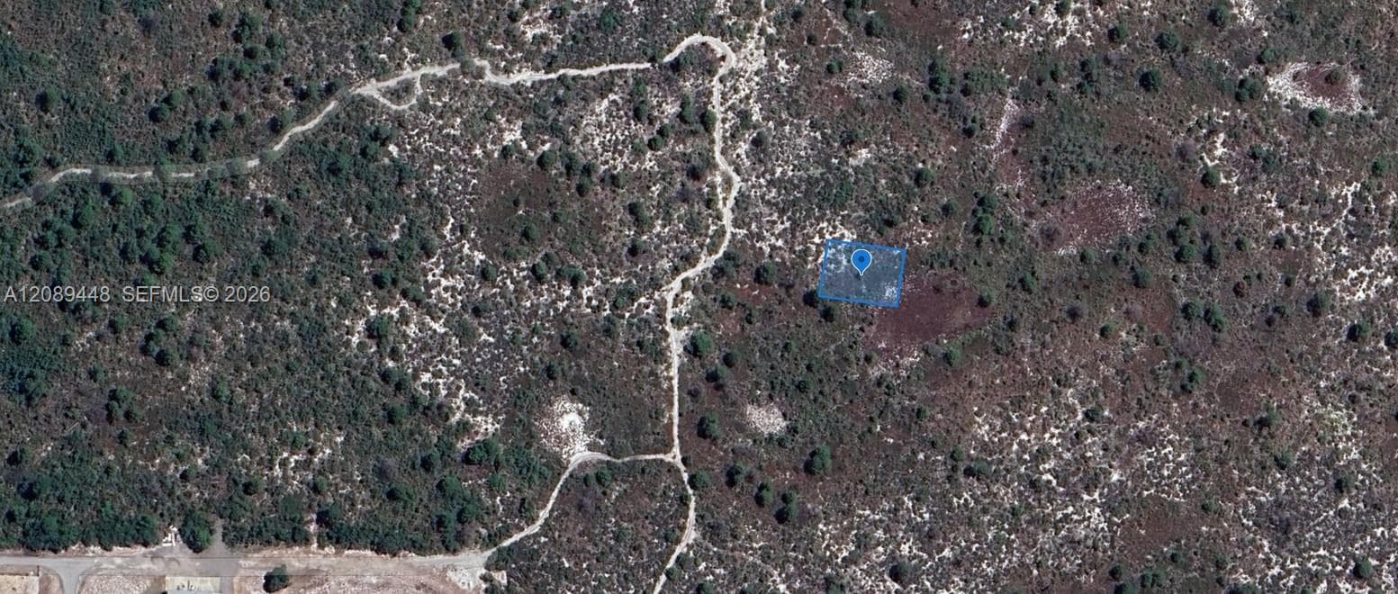 431 Lucille Lane, Lake Placid FL 33852