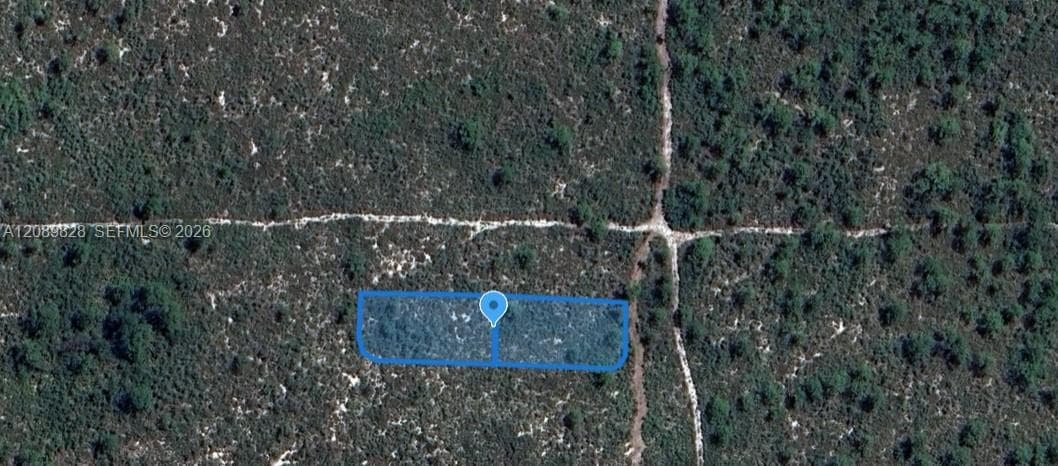 701 CAMDEN ST, Lake Placid FL 33852