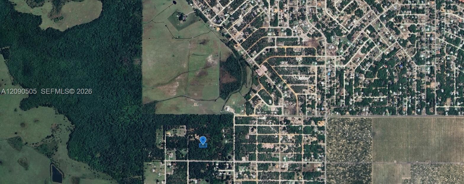 3175 W Foli Road, Avon Park FL 33825
