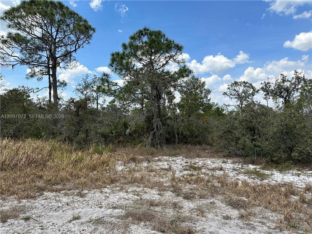 5128 Coruna Ave, Sebring FL 33872