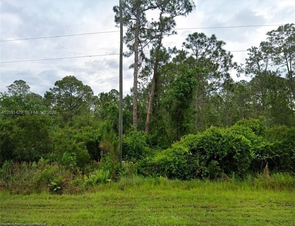 7004 Mona Ave, Sebring FL 33872