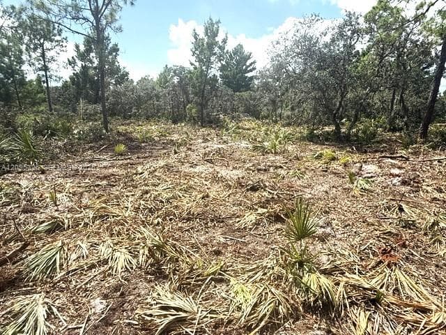 206 Oriole Avenue, Sebring FL 33870