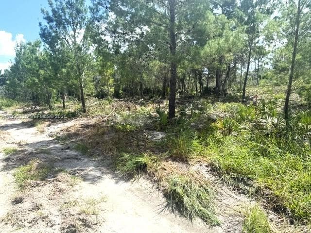 206 Oriole Avenue, Sebring FL 33870