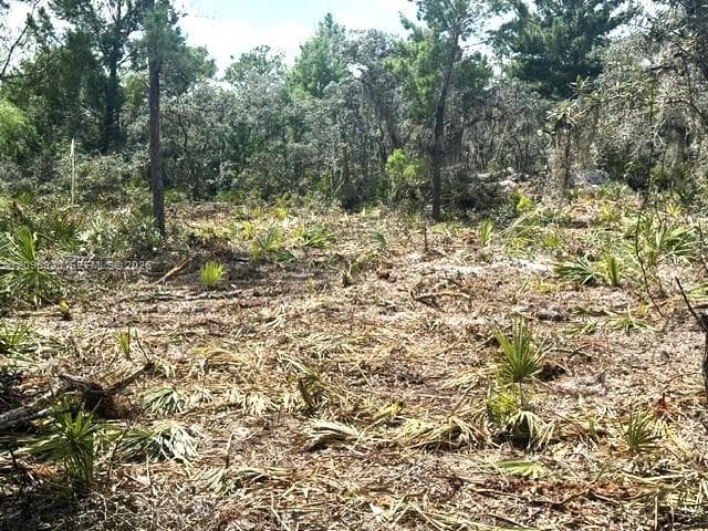 206 Oriole Avenue, Sebring FL 33870