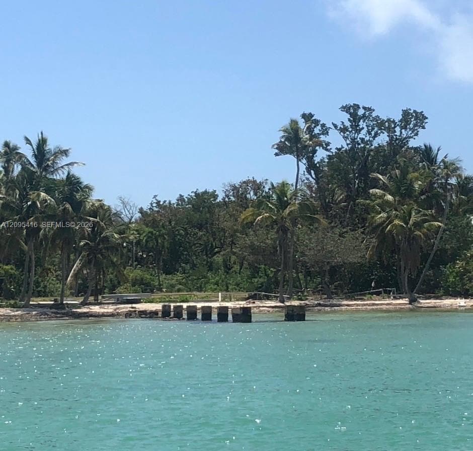 View from Boat on the bay