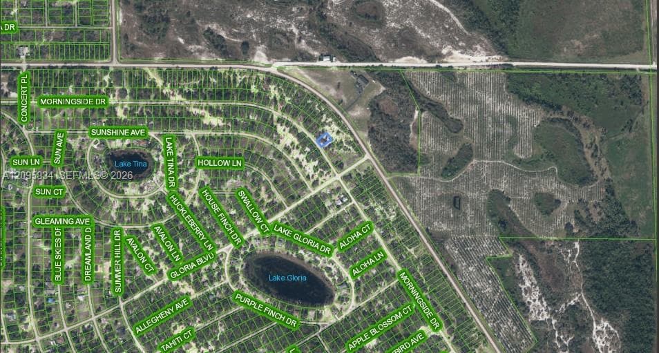 488 Morningside Drive, Lake Placid FL 33852