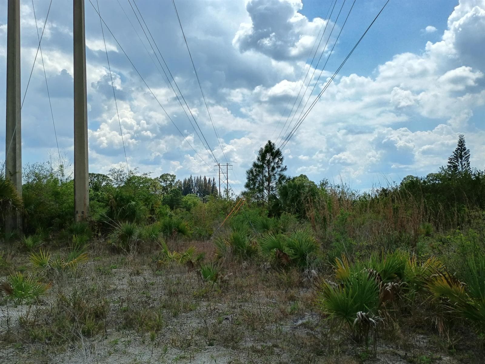 IMG_20260328_135451350_HDR