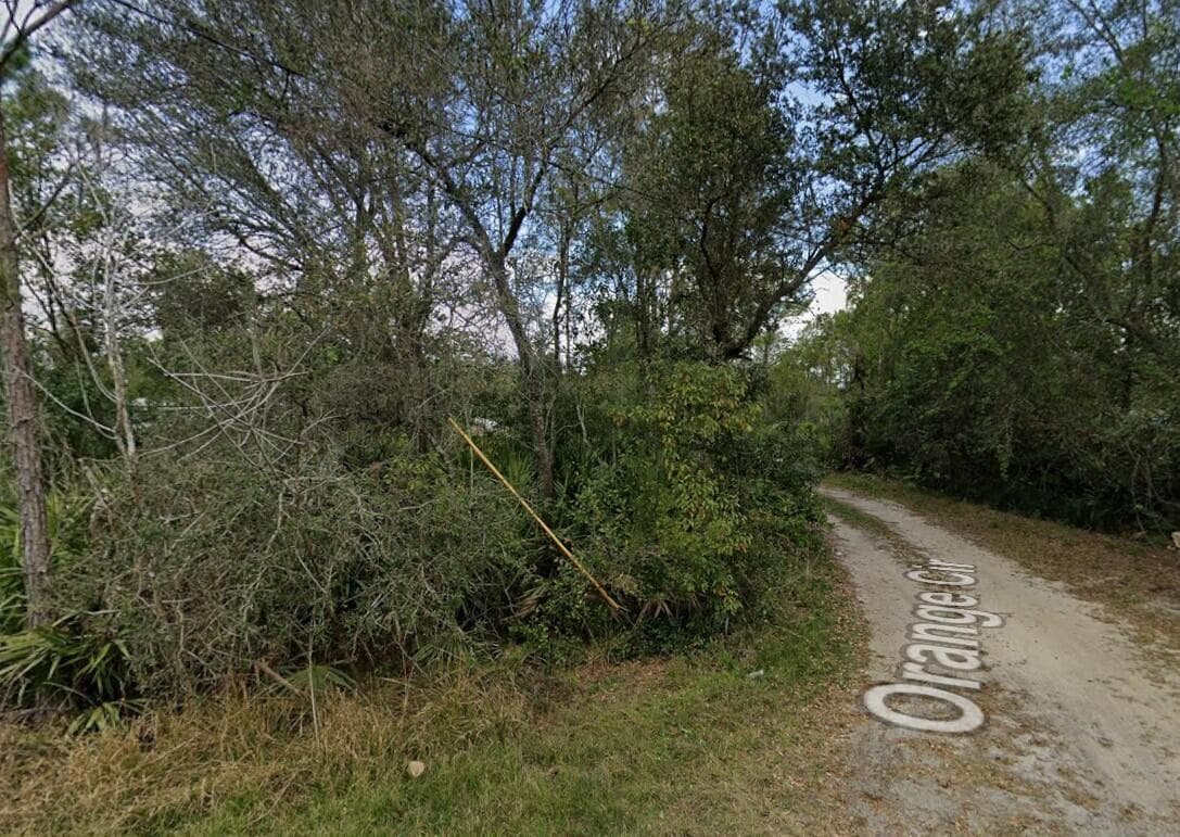 orange cir 1