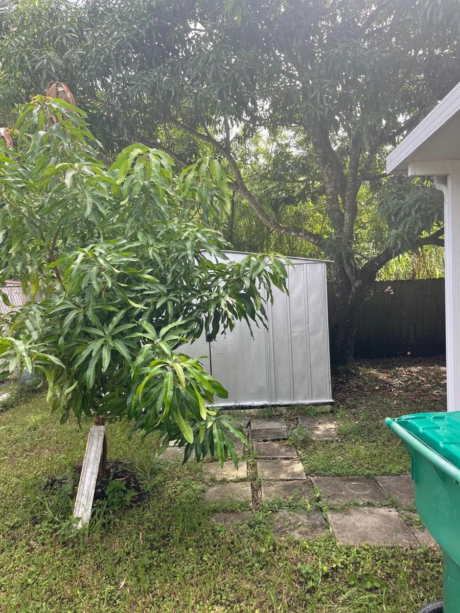 Fruit Trees