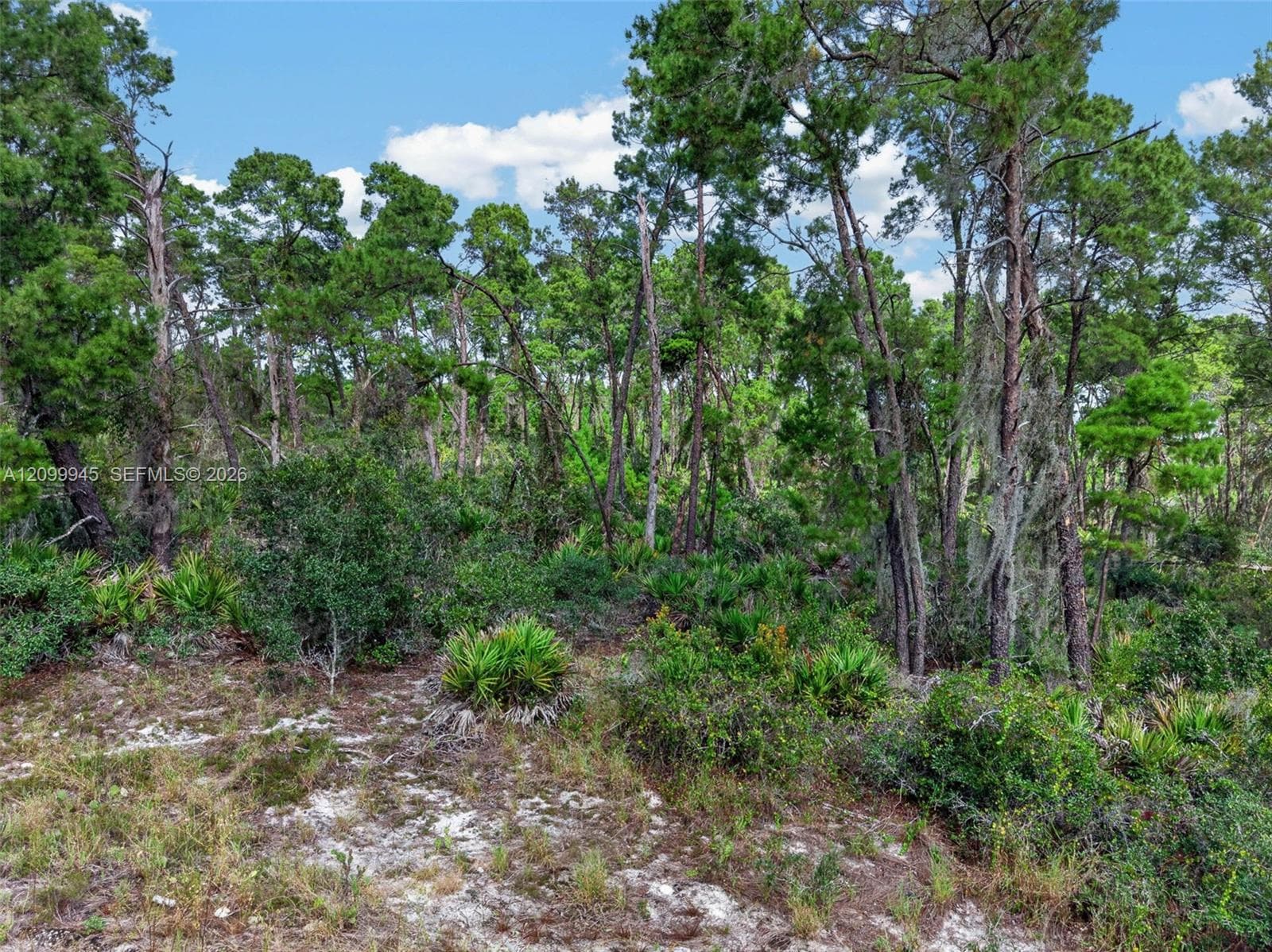 431 Hummingbird ave, Sebring FL 33872