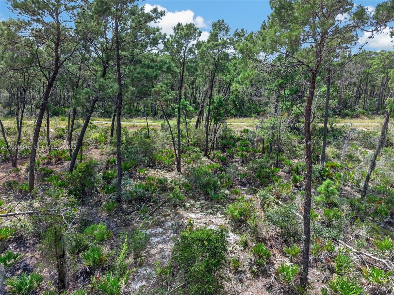 431 Hummingbird ave, Sebring FL 33872
