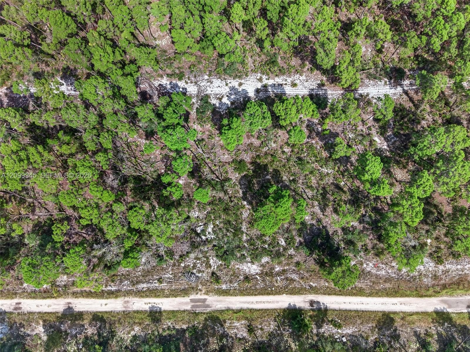 431 Hummingbird ave, Sebring FL 33872