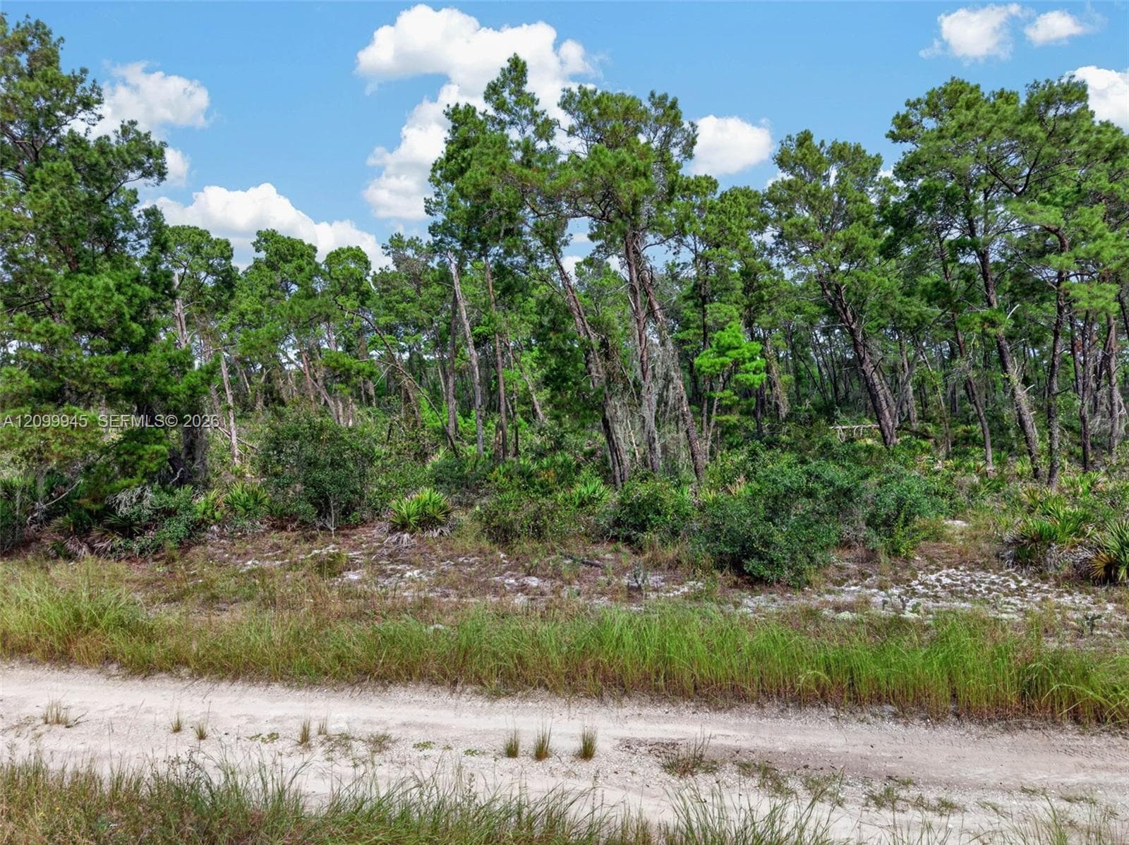 431 Hummingbird ave, Sebring FL 33872