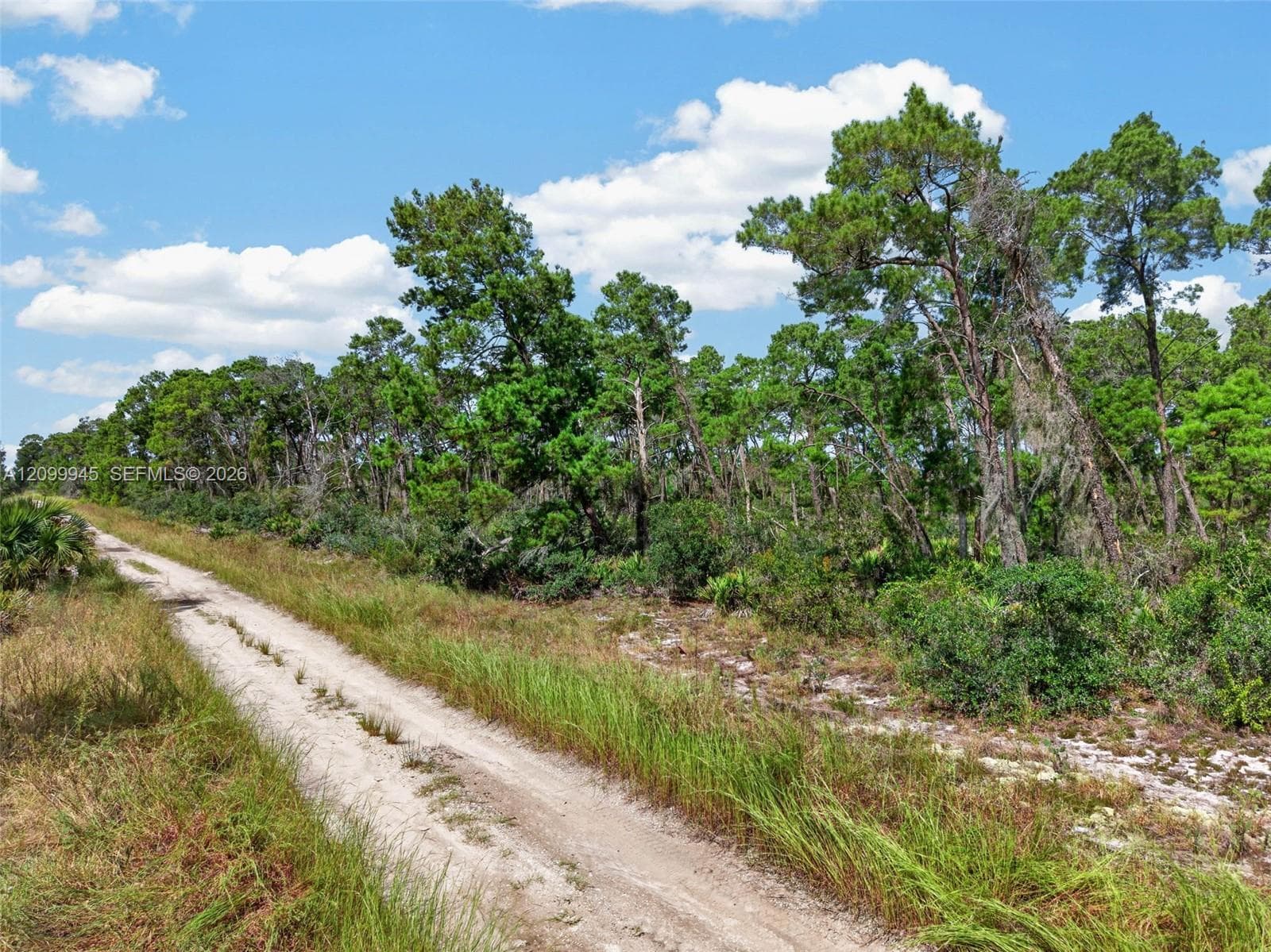 431 Hummingbird ave, Sebring FL 33872