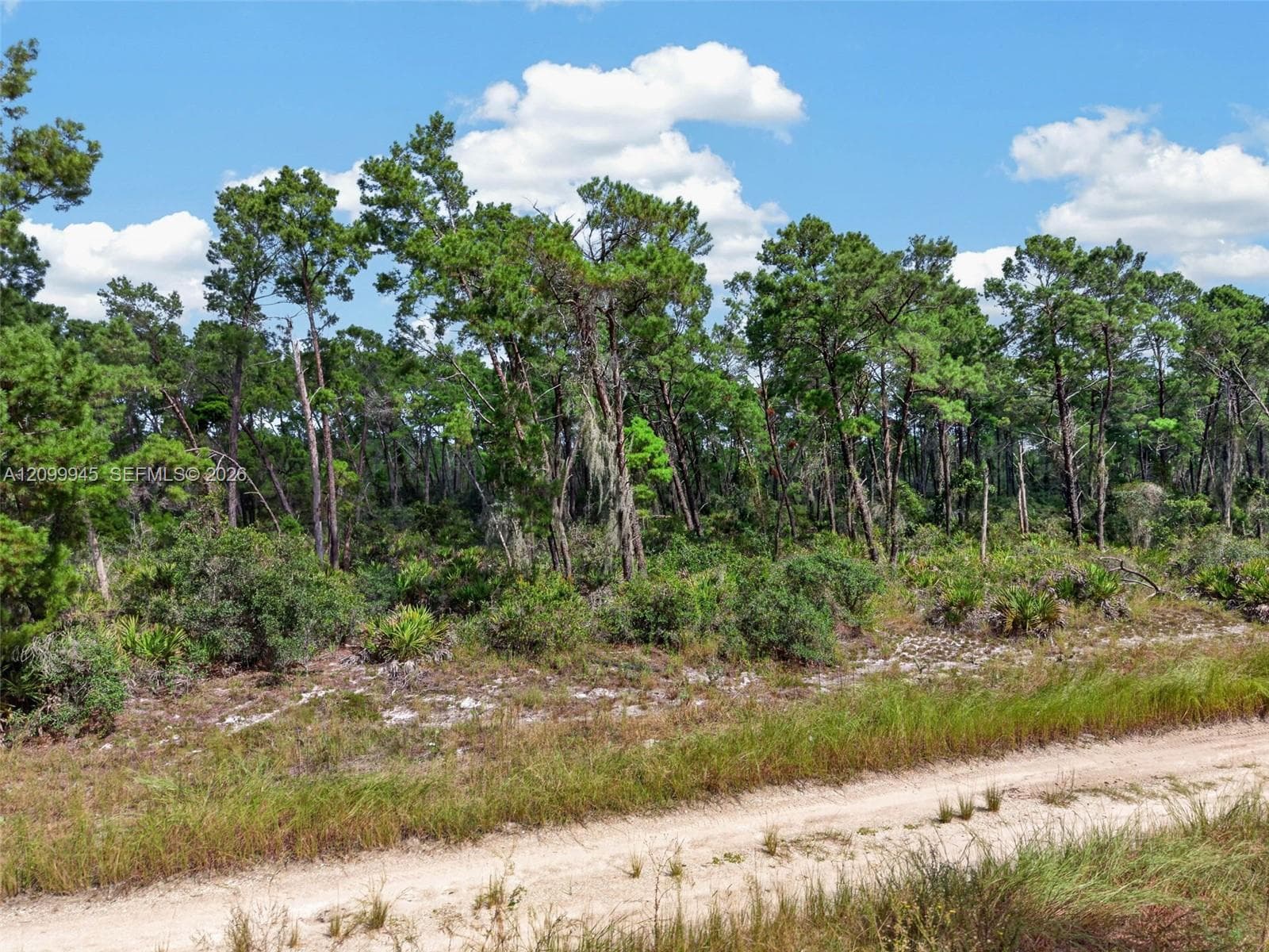 431 Hummingbird ave, Sebring FL 33872