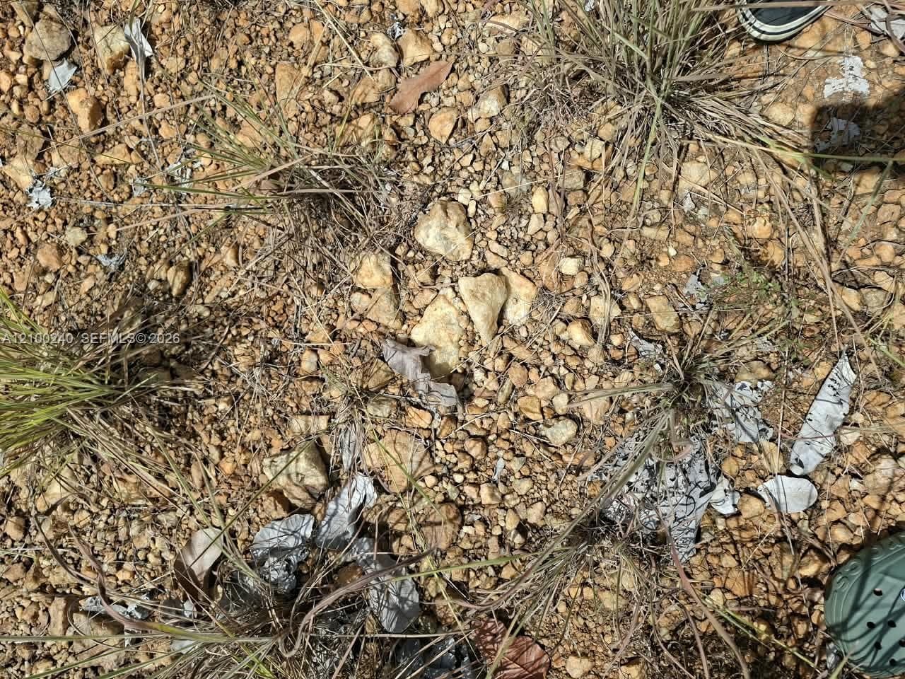 FL