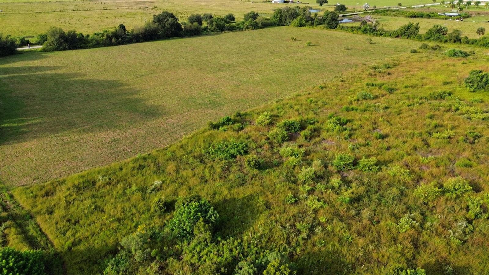 Drone looking south