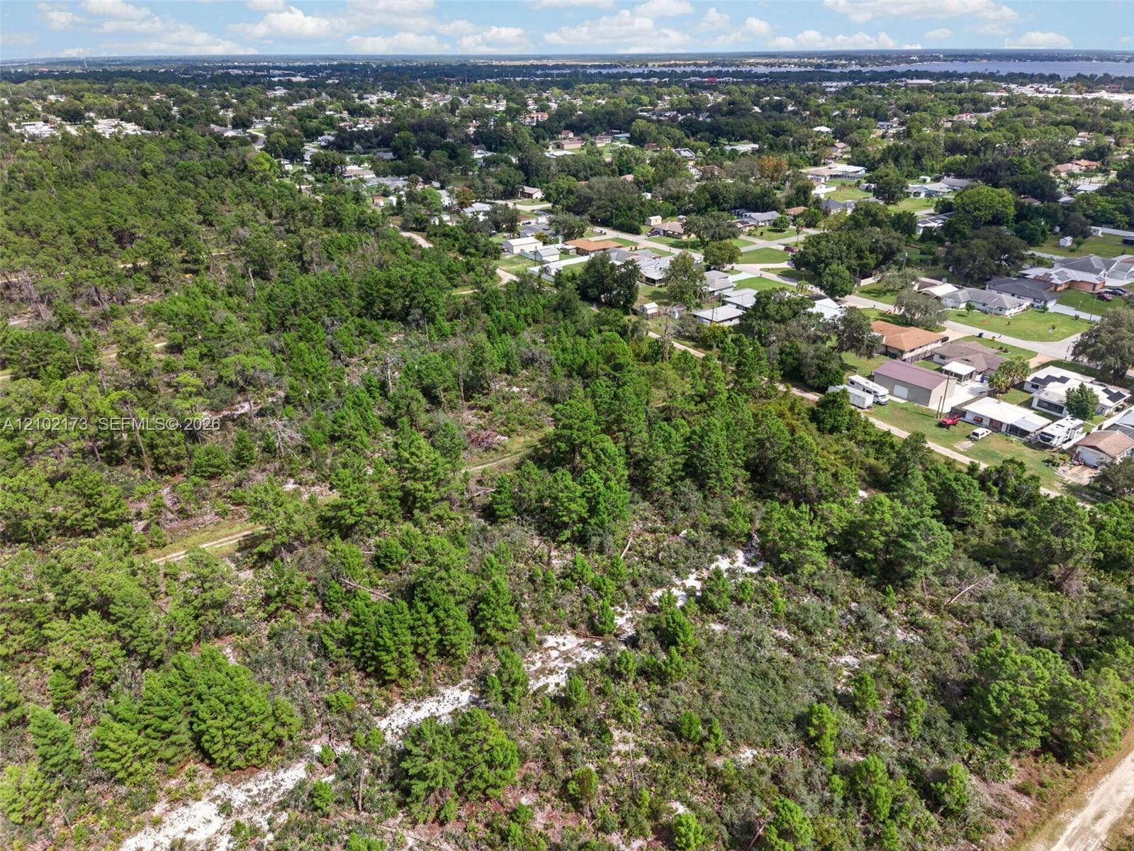 411 Scaup Ave, Sebring FL 33872