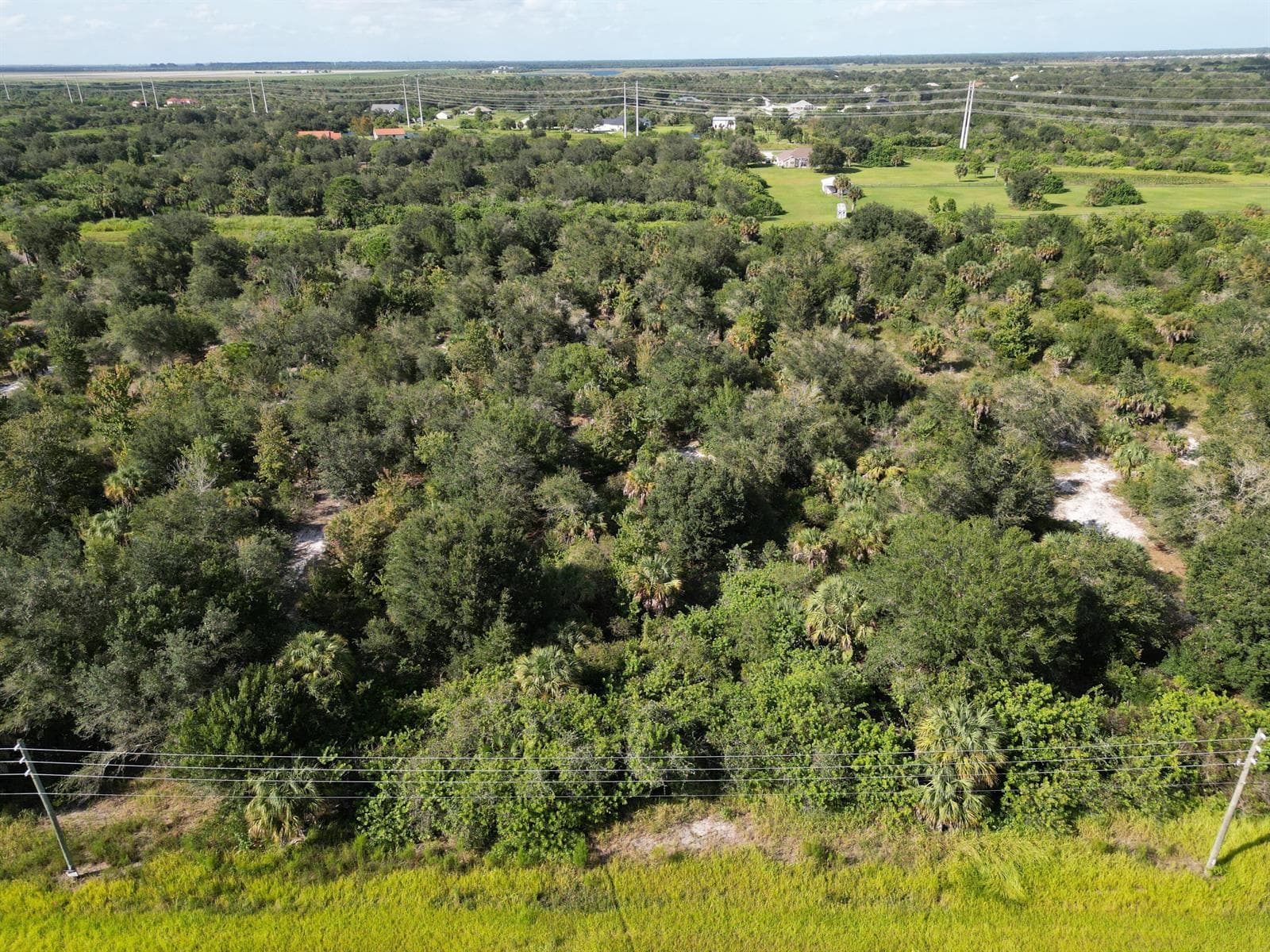 DJI_0955