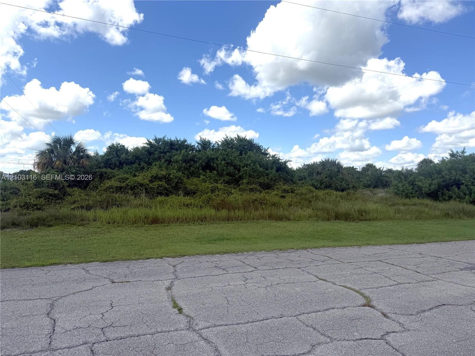 9006 Maywood Cir, Lehigh Acres FL 33935