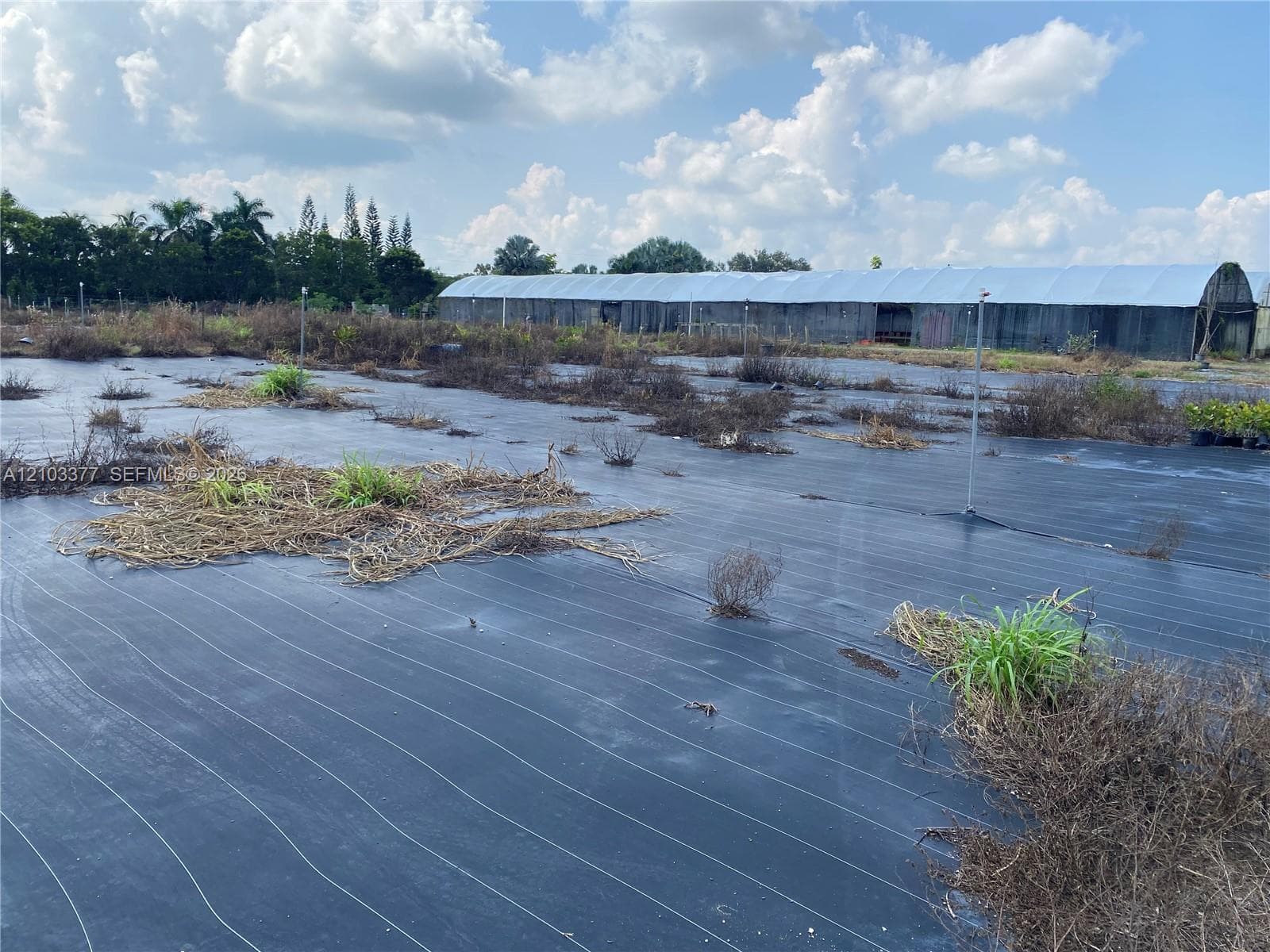 27201 SW 162 AVENUE, Homestead FL 33031