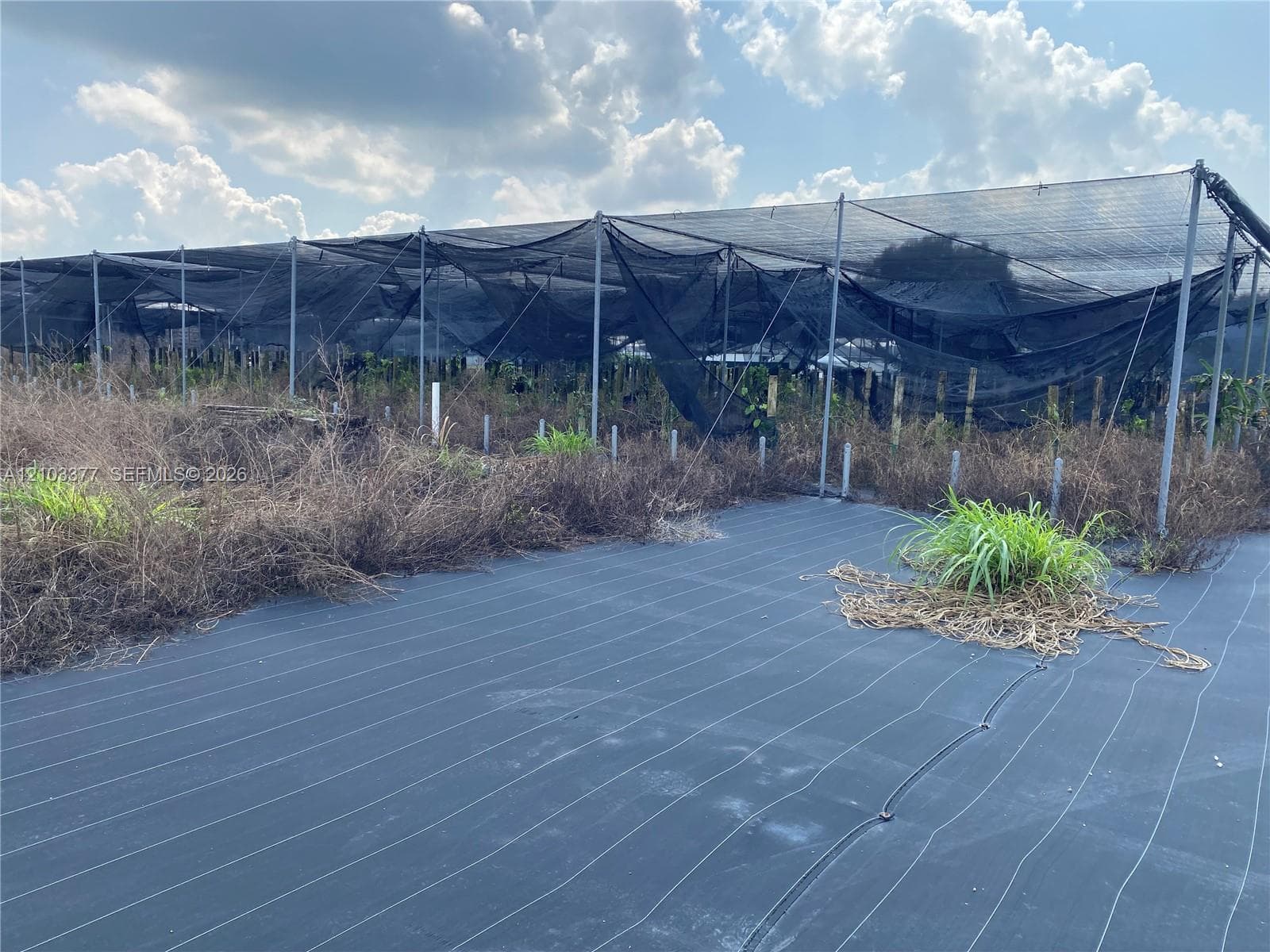 27201 SW 162 AVENUE, Homestead FL 33031