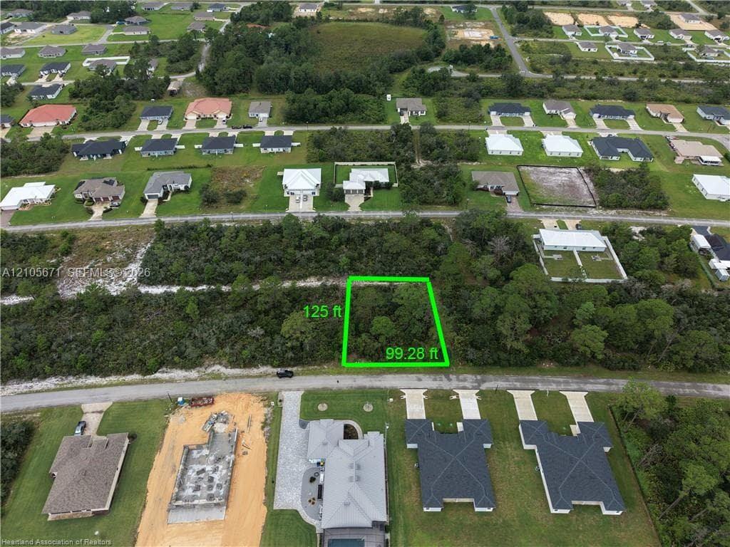 Vacant residential parcel featuring 125-foot by 99.28-foot dimensions, paved street frontage, and mature native vegetation