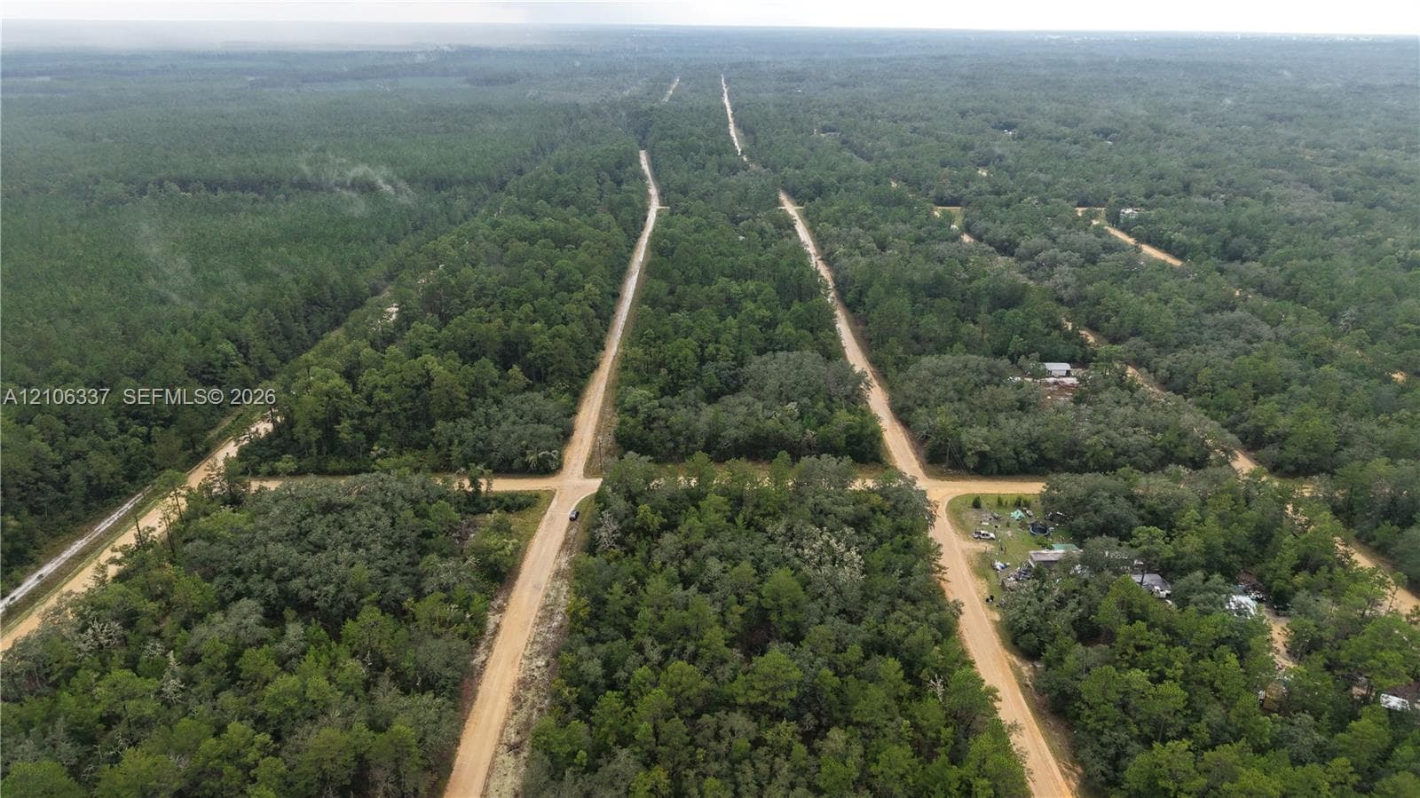 Expansive parcel featuring mature timber, dense wooded terrain, and established dirt road access