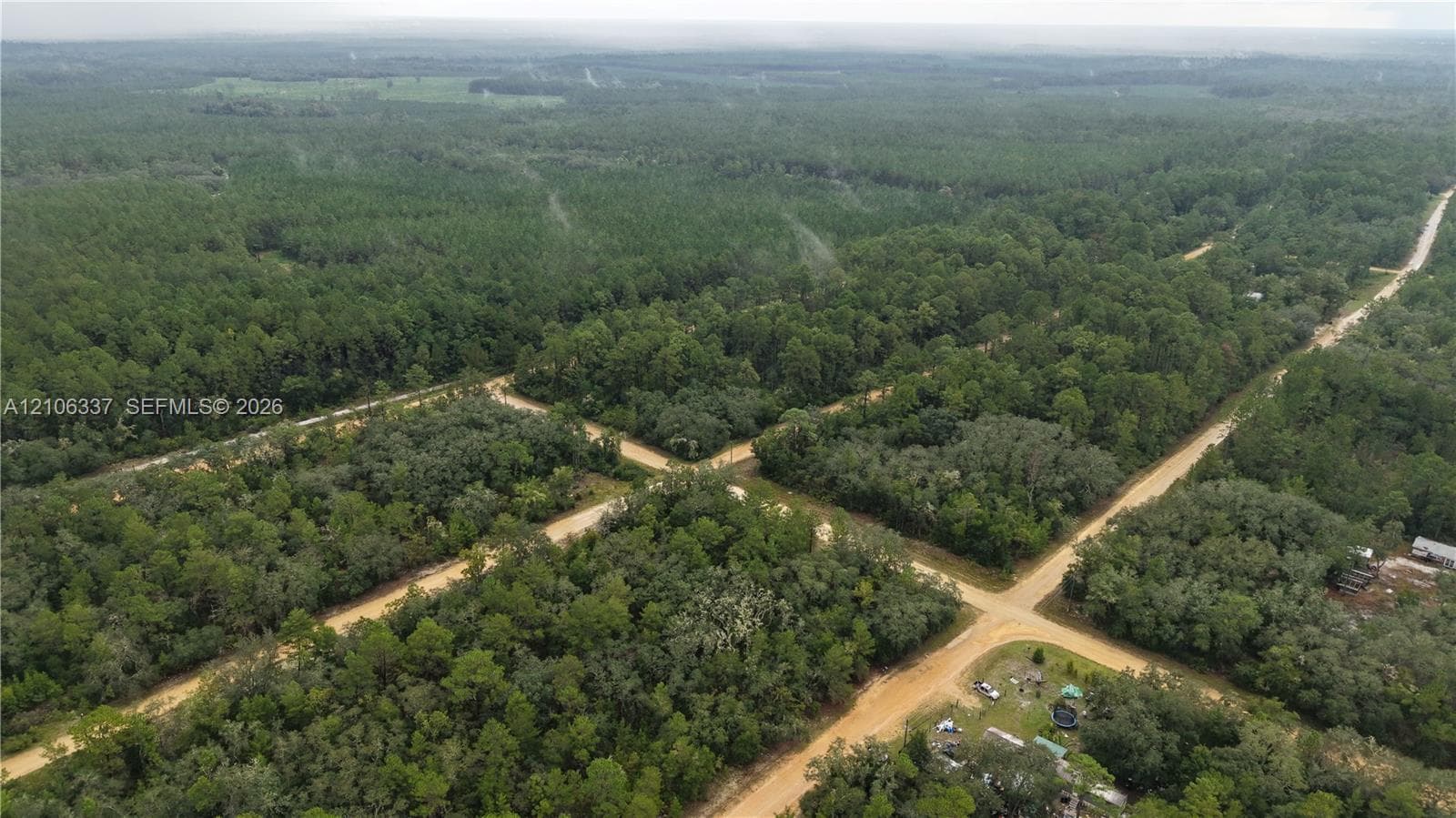 Expansive wooded acreage featuring established tree lines and accessible gravel road frontage