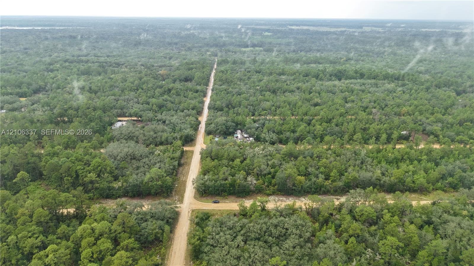 Expansive acreage featuring dense tree coverage, natural terrain, and direct dirt road access
