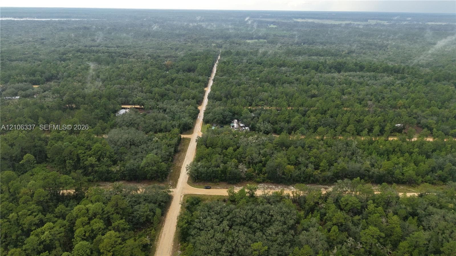 Aerial view of expansive wooded acreage featuring mature timber and unpaved roadway access
