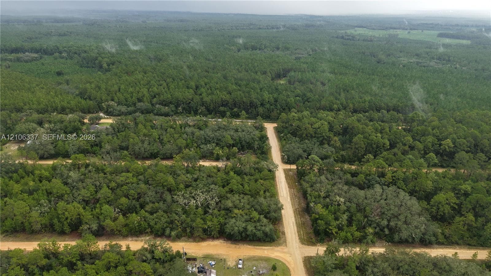 Expansive land parcel featuring dense pine forest, mature deciduous trees, and unpaved roadway access