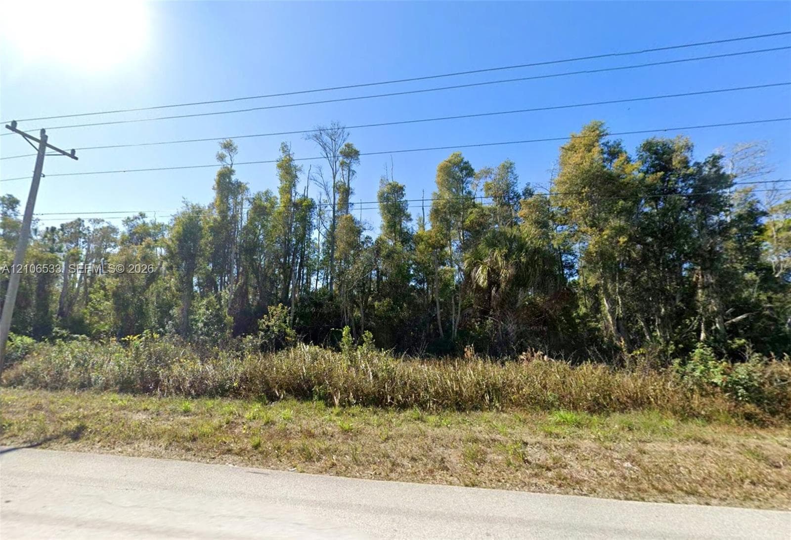 Vacant lot featuring native vegetation and mature trees, with direct street frontage