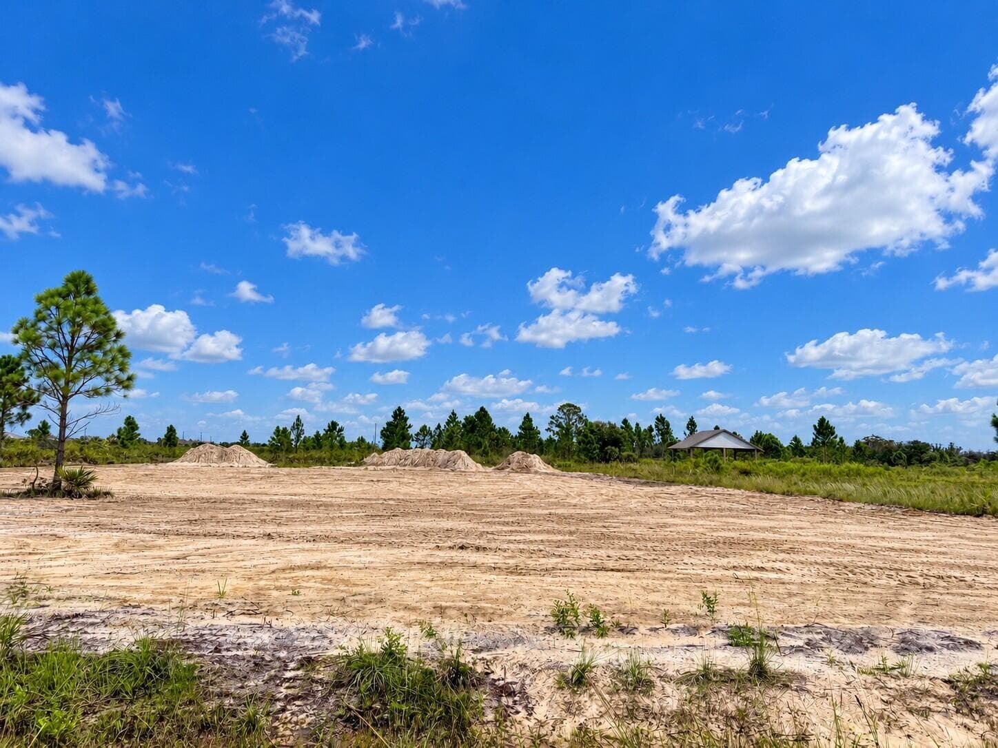 Sunny Cleared Lot Under Cumulus Clouds