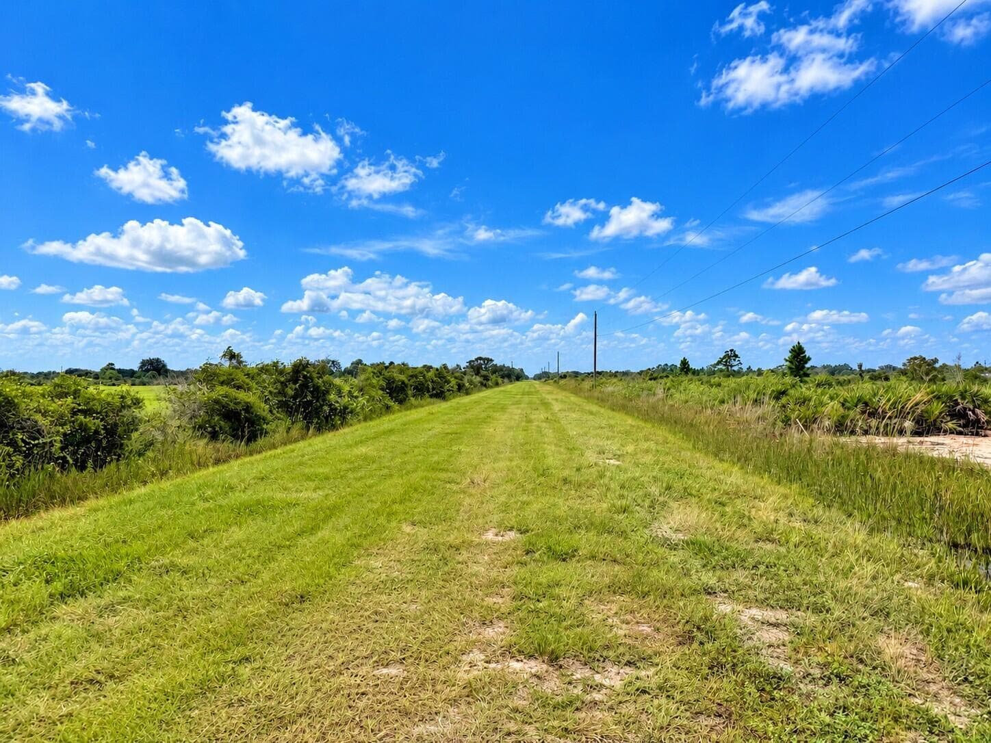 Sunny Countryside Trail to the Horizon