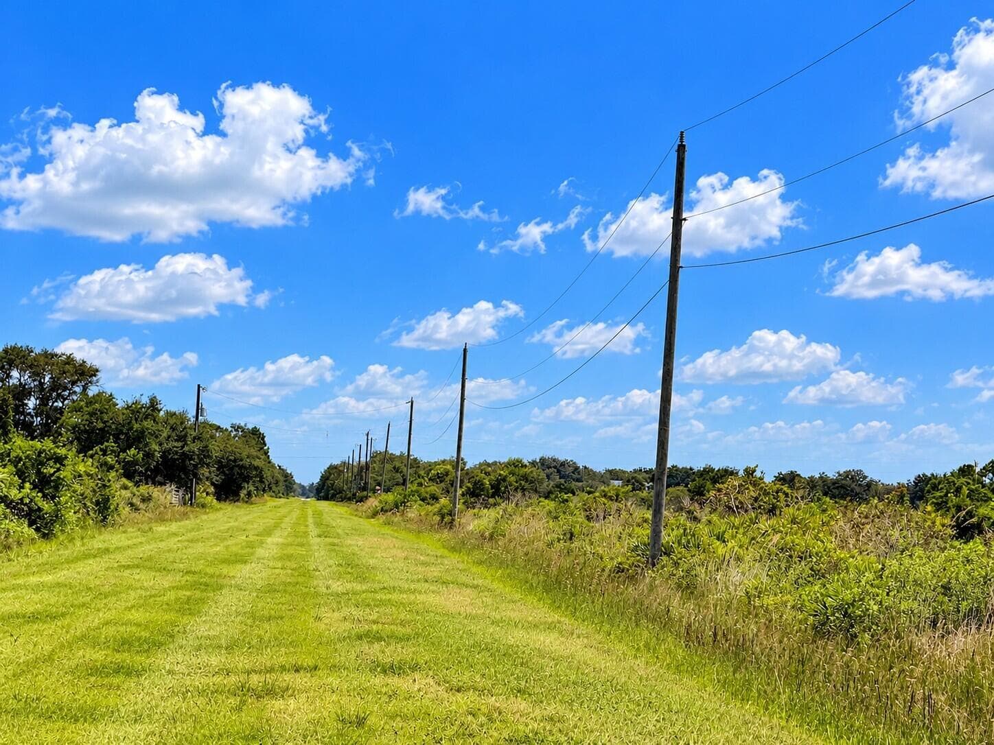 Sunny Grassy Utility Corridor